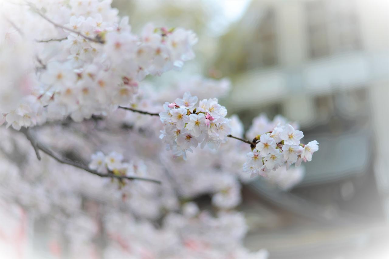 Hotel Plaza Umeshin Kitashinchi Oszaka Kültér fotó